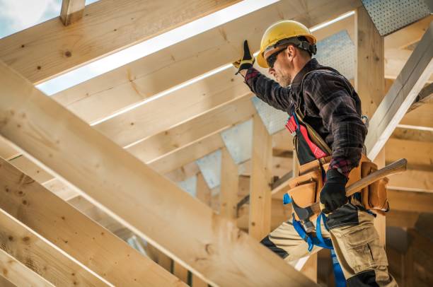 Roof Gutter Cleaning in Rock Valley, IA